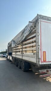 Loog Logistics taşımacılık operasyonu