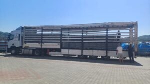 Loog Logistics taşımacılık operasyonu